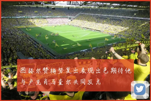 图赫尔赞梅努复出表现出色期待他与卢克肖马奎尔共同发光